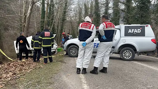 Karabük'te otomobil ağaca çarptı: 1 ölü, 2 yaralı
