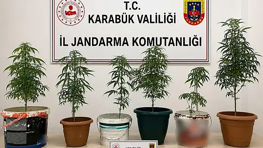 Karabük'te uyuşturucu ve kaçak tütün operasyonu