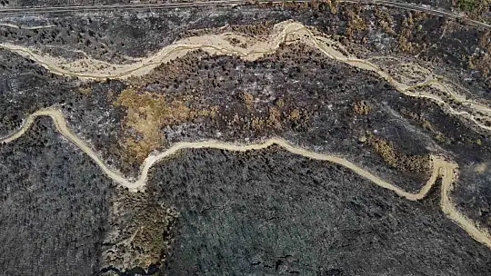 Karabük'te yangın sonrası ormanlar hazan rengine büründü