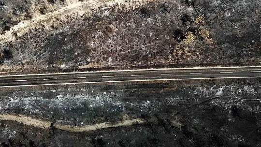 Karabük'te yangın sonrası ormanlar hazan rengine büründü