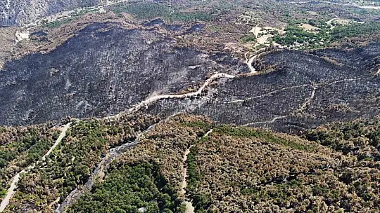 Karabük'te yangın sonrası ormanlar hazan rengine büründü