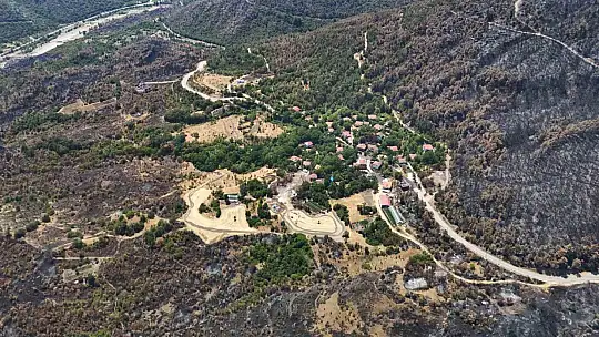 Karabük'te yangın sonrası ormanlar hazan rengine büründü