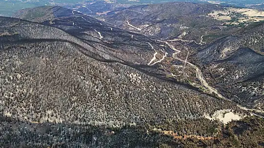 Karabük'te yangın sonrası ormanlar hazan rengine büründü