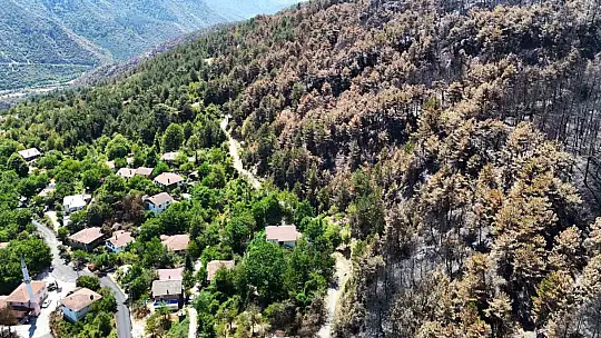 Karabük'te yangın sonrası ormanlar hazan rengine büründü