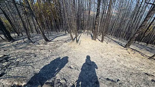 Karabük'teki orman yangını 12 saatte kontrol altina alındı