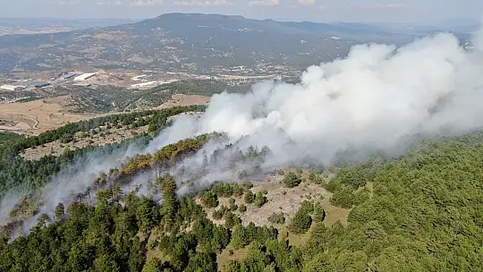 Karabük'teki orman yangınında alevler yayıldı
