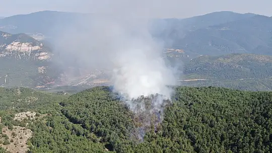 Karabük'teki orman yangınında alevler yayıldı