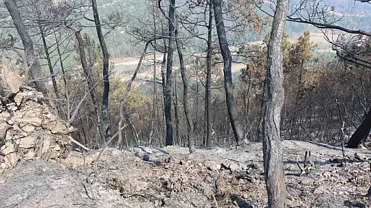 Karabük'teki orman yangınında 120. saate giriliyor
