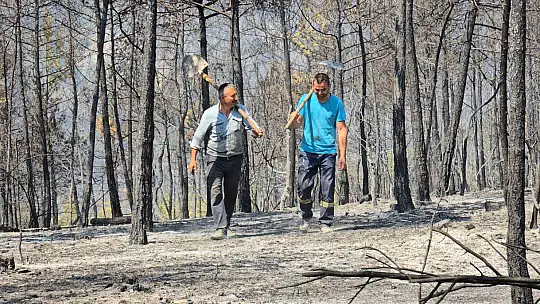 Karabük'teki orman yangınında 120. saate giriliyor