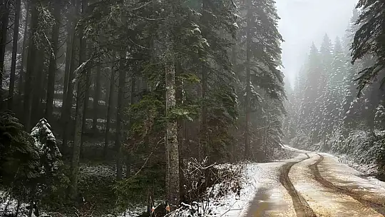 Karabük'ün yüksek kesimleri beyaza büründü