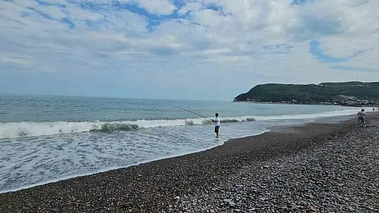 Karadeniz'de balık bolluğu yaşanıyor: Oltasını kapan deniz kenarına koştu