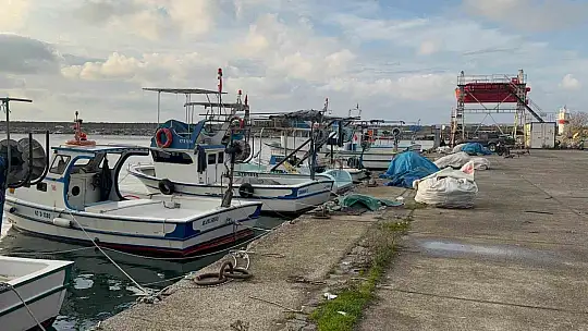 Karadeniz'de palamut hayal kırıklığı yaşattı