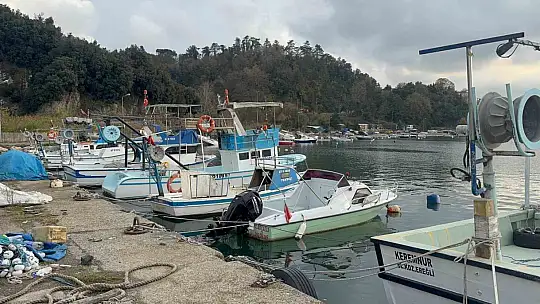 Karadeniz'de palamut hayal kırıklığı yaşattı