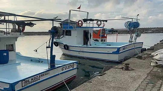 Karadeniz'de palamut hayal kırıklığı yaşattı