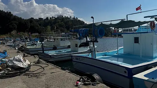 Karadeniz'de palamut hayal kırıklığı yaşattı