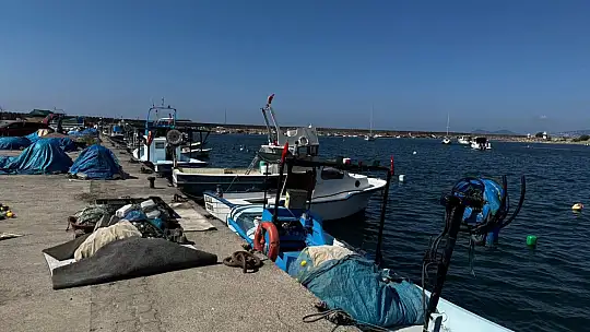 Karadeniz'de palamut hayal kırıklığı yaşattı