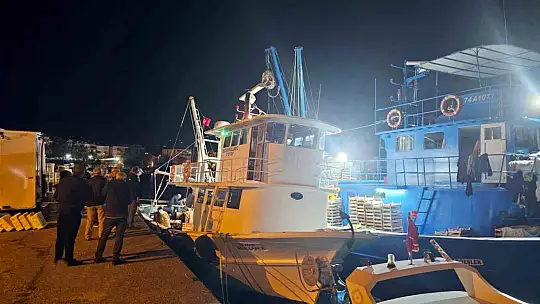 Kasa kasa palamutla limana dönüyorlar
