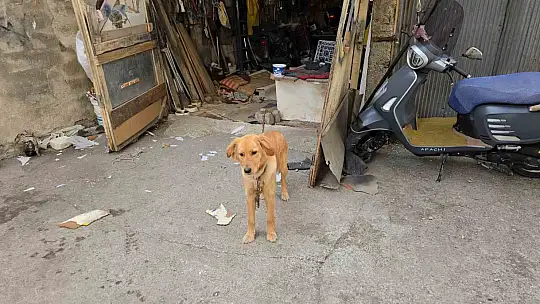 Karadeniz Ereğli'de korku dolu anlar