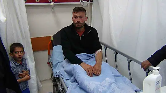 Kars'ta sürünün üzerine yıldırım düştü: 2 çoban yaralandı, 10 hayvan telef oldu
