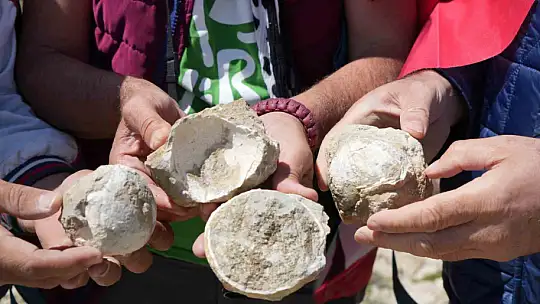 Kastamonu-Çankırı sınırındaki 2 bin 587 rakımlı dağın zirvesinde deniz fosilleri bulundu