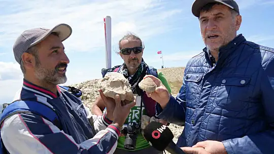 Kastamonu-Çankırı sınırındaki 2 bin 587 rakımlı dağın zirvesinde deniz fosilleri bulundu