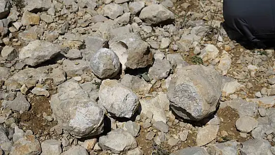 Kastamonu-Çankırı sınırındaki 2 bin 587 rakımlı dağın zirvesinde deniz fosilleri bulundu
