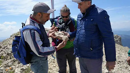 Kastamonu-Çankırı sınırındaki 2 bin 587 rakımlı dağın zirvesinde deniz fosilleri bulundu