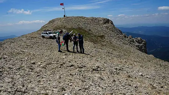 Kastamonu-Çankırı sınırındaki 2 bin 587 rakımlı dağın zirvesinde deniz fosilleri bulundu