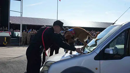 2 bin 776 jandarma komando mezun oldu