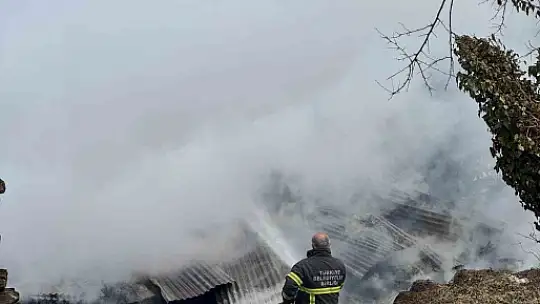 Kastamonu'da 2 ev ve bir ambar alev alev yandı