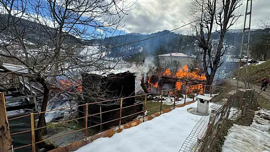 Kastamonu'da 2 ev ve bir ambar alev alev yandı