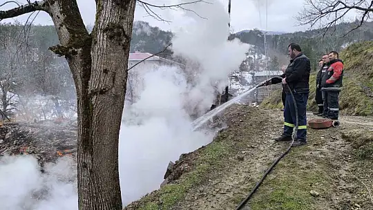 Kastamonu'da 2 ev ve bir ambar alev alev yandı