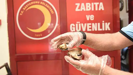 Kastamonu'da 45 kilogram sağlıksız midye ele geçirildi