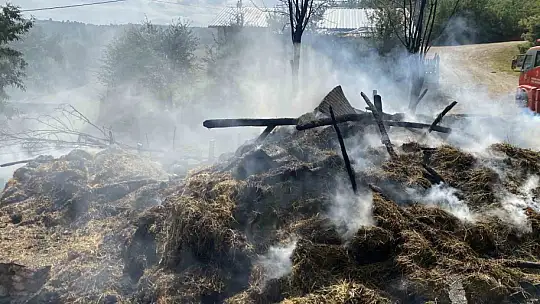 Kastamonu'da alevlere teslim olan samanlık ve balyalar küle döndü