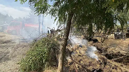 Kastamonu'da alevlere teslim olan samanlık ve balyalar küle döndü