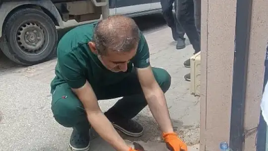 Kalp masajıyla hayata döndü