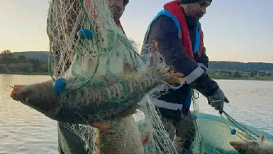Kastamonu'da baraj gölünde yüzlerce metre hayalet ağ ele geçirildi: 200 kilogram sazan kurtarıldı