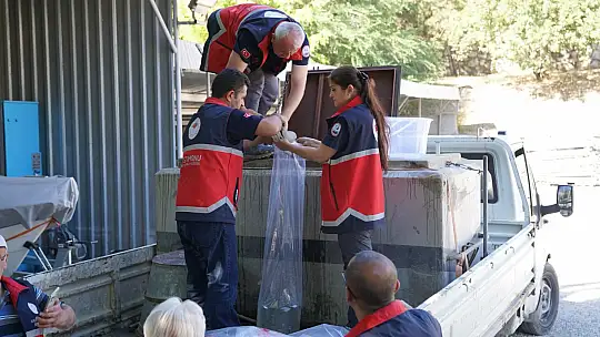 Kastamonu'da baraj ve göletlere 656 bin yavru sazan balığı salındı