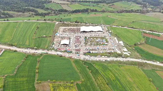 Canlı hayvan pazarları kapatıldı