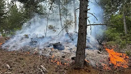 Kastamonu'da çıkan orman yangını büyümeden söndürüldü