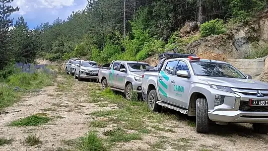 Kastamonu'da çıkan orman yangını büyümeden söndürüldü