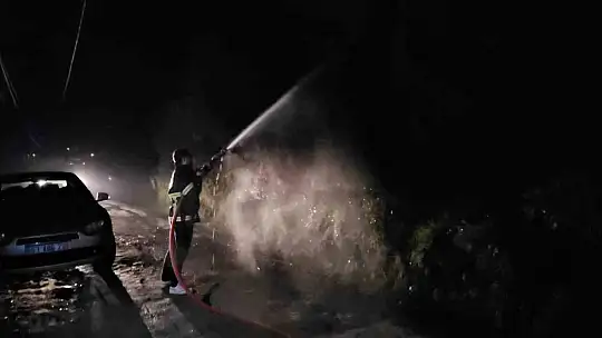 Kastamonu'da çıkan orman yangını söndürüldü