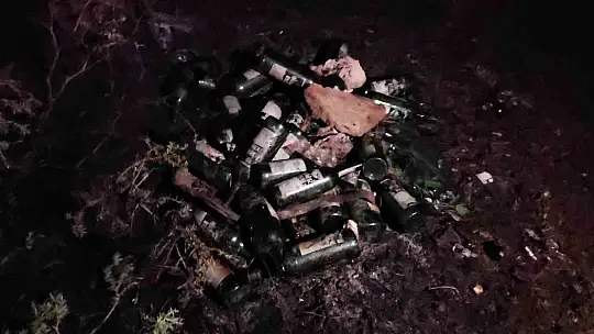 Kastamonu'da çıkan orman yangını söndürüldü