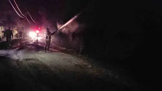 Kastamonu'da çıkan orman yangını söndürüldü