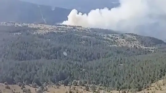 Kastamonu'da çıkan orman yangını ekiplerin hızlı müdahalesiyle söndürüldü