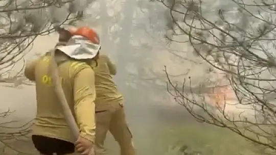 Kastamonu'da çıkan orman yangını ekiplerin hızlı müdahalesiyle söndürüldü