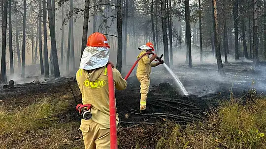 Orman yangınına ekiplerin müdahalesi sürüyor