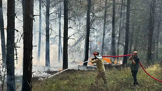 Orman yangınına ekiplerin müdahalesi sürüyor