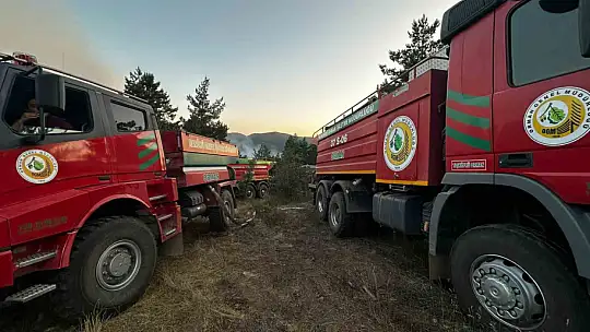 Orman yangınına ekiplerin müdahalesi sürüyor