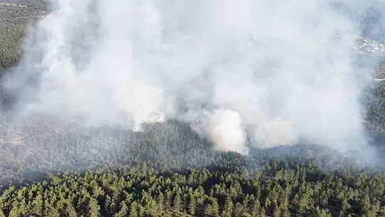 Kastamonu'da çıkan orman yangını kontrol altına alındı